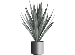 4064118184980 - Agave tequilana Kunststofftopf Höhe 1100 mm kaiserkraft