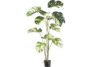 4064118188322 - Künstliche Pflanze Monstera deliciosa Kunststofftopf Blattfarbe grün Höhe 1600 mm kaiserkraft