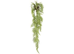 4064118188360 - Künstliche Pflanze Farnhänger inkl Metallhaken Höhe 1450 mm grün kaiserkraft 4064118188360 - Künstliche Pflanze Farnhänger inkl Metallhaken Höhe 1450 mm grün kaiserkraft