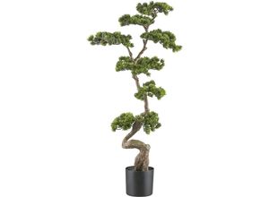 4064118188605 - Künstliche Pflanze Bonsai Kiefer Kunststofftopf Höhe 1250 mm kaiserkraft