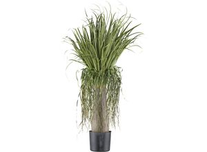 4064118190769 - Künstliche Pflanze Beaucarnea Kunststofftopf 125 cm Höhe 1250 mm kaiserkraft