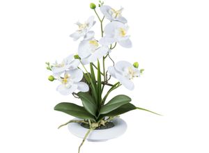4064118240488 - Kunstorchidee CREATIV GREEN Orchidee Phalaenopsis weiß H41cm Kunststoff Kunstpflanzen in außergewöhnlicher Keramikschale