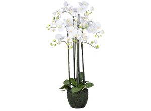 4064118240501 - Kunstorchidee CREATIV GREEN Orchidee Phalaenopsis weiß H93cm Kunststoff Kunstpflanzen im Erdballen und mit real-touch-Blüten