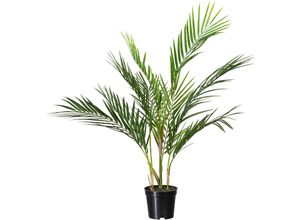 4064118240532 - Kunstpalme CREATIV GREEN Zimmerpalme grün H70cm Kunststoff Kunstpflanzen mit 9 Palmwedeln