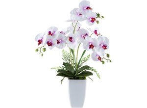 4064118240679 - Kunstorchidee CREATIV GREEN Orchidee Phalaenopsis weiß (schneeweiß) H67cm Kunststoff Kunstpflanzen mit Farnzweigen