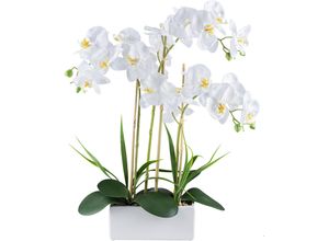 4064118240716 - Kunstorchidee CREATIV GREEN Orchidee Phalaenopsis weiß H58cm Kunststoff Kunstpflanzen mit Graszweigen arrangiert