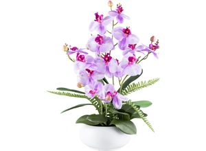 4064118240761 - Kunstorchidee CREATIV GREEN Orchidee Phalaenopsis Kunstpflanzen Gr H 55 cm 1 St lila (violett) mit Farnzweigen