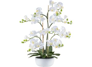 4064118240785 - Kunstorchidee CREATIV GREEN Orchidee Phalaenopsis Kunstpflanzen Gr H 85 cm 1 St weiß mit zahlreichen real-touch-Blüten