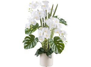 4064118240815 - Kunstorchidee CREATIV GREEN Orchidee Phalaenopsis beige (creme) H110cm Kunststoff Kunstpflanzen mit Gräsern und Splitphilo-Blättern