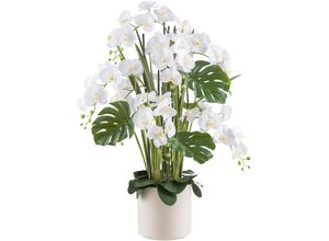 4064118240822 - Kunstorchidee CREATIV GREEN Orchidee Phalaenopsis Kunstpflanzen Gr H 120 cm 1 St beige (creme) mit Gräsern und Splitphilo-Blättern