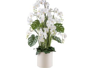 4064118240839 - Kunstorchidee CREATIV GREEN Orchidee Phalaenopsis Kunstpflanzen Gr H 140 cm 1 St beige (creme) mit Gräsern und Splitphilo-Blättern