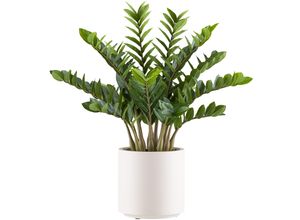 4064118241003 - Kunstpflanze CREATIV GREEN Zamifolia Kunstpflanzen Gr H 85 cm 1 St grün Künstliche Zimmerpflanzen im eleganten cremefarbenen Topf