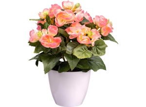 4064118241065 - Kunstblume CREATIV GREEN Begonie rosa H28cm Kunststoff Kunstpflanzen mit farbenfrohen Blüten