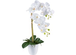 4064118241102 - Kunstorchidee CREATIV GREEN Orchidee Phalaenopsis weiß H56cm Kunststoff Kunstpflanzen mit real-touch-Blüten