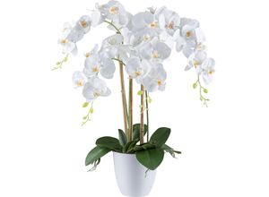 4064118241126 - Kunstorchidee CREATIV GREEN Orchidee Phalaenopsis weiß H62cm Kunststoff Kunstpflanzen mit real-touch-Blüten