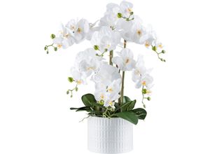 4064118241140 - Kunstorchidee CREATIV GREEN Orchidee Phalaenopsis Kunstpflanzen Gr H 60 cm 1 St weiß mit real-touch-Blüten