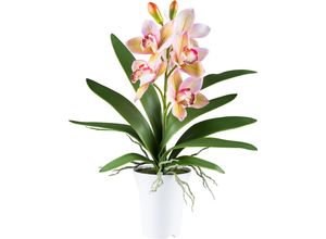 4064118241188 - Kunstorchidee CREATIV GREEN Orchidee Cymbidie grün H53cm Kunststoff Kunstpflanzen mit real-touch-Blüten