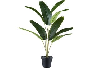 4064118241218 - Kunstpalme CREATIV GREEN Bananenpflanze grün H65cm Kunststoff Kunstpflanzen mit neun Blattwedeln 4064118241218 - Kunstpalme CREATIV GREEN Bananenpflanze grün H65cm Kunststoff Kunstpflanzen mit neun Blattwedeln