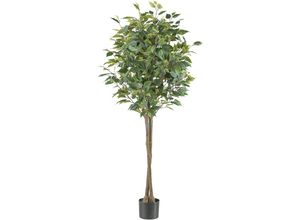 4064118241409 - Kunstpflanze CREATIV GREEN Ficus benjamina grün Kunstpflanzen H 125cm Kunststoff in Hochstamm-Form H125cm