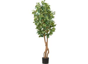 4064118241447 - Kunstpflanze CREATIV GREEN Ficus benjamina Kunstpflanzen Gr H 160 cm 1 St grün mit sehr naturgetreu gestalteten Blättern