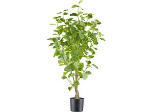 4064118241485 - Kunstbaum CREATIV GREEN Eukalyptus grün H90cm Kunststoff Kunstpflanzen mit sehr naturgetreu gestalteten Blättern