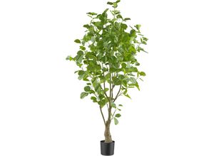 4064118241492 - Kunstbaum CREATIV GREEN Eukalyptus grün H130cm Kunststoff Kunstpflanzen mit sehr naturgetreu gestalteten Blättern