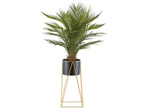 4064118241638 - Kunstpalme CREATIV GREEN Arecapalme grün H110cm Kunststoff Kunstpflanzen mit Metallrack 4064118241638 - Kunstpalme CREATIV GREEN Arecapalme grün H110cm Kunststoff Kunstpflanzen mit Metallrack