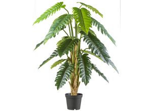 4064118241669 - Kunstbaum CREATIV GREEN Philodendron xanadu grün H195cm Kunststoff Kunstpflanzen mit großformatigem Blattwerk 4064118241669 - Kunstbaum CREATIV GREEN Philodendron xanadu grün H195cm Kunststoff Kunstpflanzen mit großformatigem Blattwerk