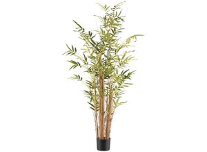 4064118241737 - Kunstbambus CREATIV GREEN Bambus vulgaris grün H150cm Kunststoff Kunstpflanzen mit Naturstamm