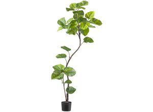 4064118241782 - Kunstpflanze CREATIV GREEN Ficus umbellata grün H160cm Kunststoff Kunstpflanzen mit tollem Blattwerk