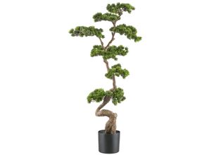 4064118241867 - Kunstbonsai CREATIV GREEN Bonsai Kiefer grün B50cm H125cm Kunststoff Kunstpflanzen mit elegantem Stamm