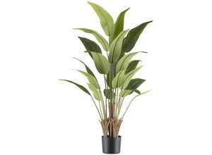 4064118241874 - Kunstpflanze CREATIV GREEN Strelitzia reginae grün H120cm Kunststoff Kunstpflanzen mit tollem Blattwerk