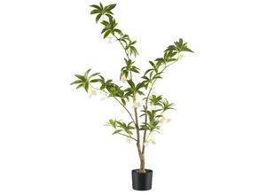 4064118241881 - Kunstbaum CREATIV GREEN Elaeocarpus grün H120cm Kunststoff Kunstpflanzen mit traumhaft schönen Blüten