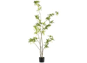 4064118241898 - Kunstbaum CREATIV GREEN Elaeocarpus grün H180cm Kunststoff Kunstpflanzen mit traumhaft schönen Blüten