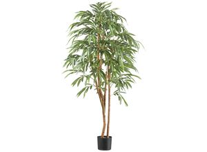 4064118241973 - Kunstpflanze CREATIV GREEN Ficus longifolia grün H170cm Kunststoff Kunstpflanzen mit Naturstamm