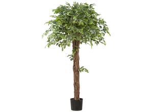 4064118242000 - Kunstpflanze CREATIV GREEN Ficus benjamina grün H175cm Kunststoff Kunstpflanzen mit lianenartigem Stamm