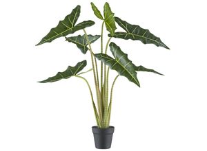 4064118242154 - Kunstpflanze CREATIV GREEN Alocasia zebrina sarian grün H100cm Kunststoff Kunstpflanzen mit gestreiftem Stamm