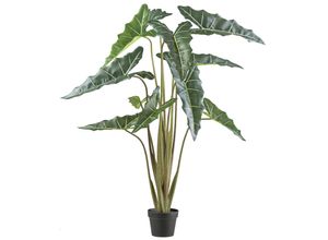 4064118242161 - Kunstpflanze CREATIV GREEN Alocasia zebrina sarian grün H130cm Kunststoff Kunstpflanzen mit gestreiftem Stamm