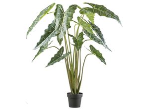 4064118242178 - Kunstpflanze CREATIV GREEN Alocasia zebrina sarian grün H160cm Kunststoff Kunstpflanzen mit gestreiftem Stamm