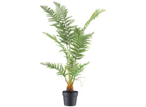 4064118242260 - Kunstpflanze CREATIV GREEN Pteris Tremula Farn grün H100cm Kunststoff Kunstpflanzen mit naturgetreuen Farnwedeln