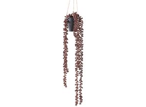 4064118242482 - Kunstranke CREATIV GREEN Hängepflanze Sedum rot (rotbraun) H60cm Kunststoff Kunstpflanzen mit rotbrauner Farbgebung
