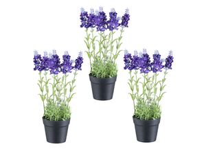 4064118242703 - Kunstpflanze CREATIV GREEN Lavendel lila H29cm Kunststoff Kunstpflanzen mit täuschend echten Blüten