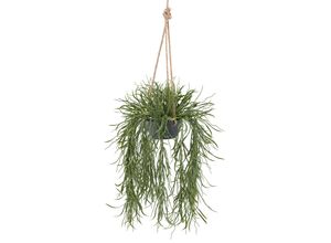 4064118242727 - Kunstpflanze CREATIV GREEN Hängepflanze Rhipsalis grün H60cm Kunststoff Kunstpflanzen in grauem Hängetopf 4064118242727 - Kunstpflanze CREATIV GREEN Hängepflanze Rhipsalis grün H60cm Kunststoff Kunstpflanzen in grauem Hängetopf