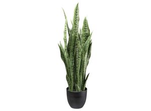 4064118248439 - P & B Kunstpflanze Grün Schwarz Kunststoff 90 cm inkl Topf Dekoration Blumen & Zubehör Kunstpflanzen 4064118248439 - P & B Kunstpflanze Grün Schwarz Kunststoff 90 cm inkl Topf Dekoration Blumen & Zubehör Kunstpflanzen