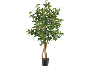 4064118249696 - P & B Kunstpflanze  Grün  Kunststoff  110 cm  mit Naturstamm  Dekoration Blumen & Zubehör Kunstpflanzen