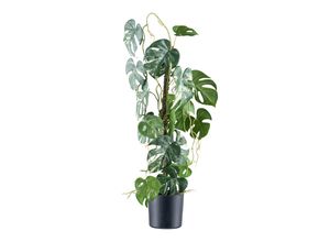 4064118250296 - P & B Kunstpflanze  Grün  Kunststoff  66 cm  inkl Topf  Dekoration Blumen & Zubehör Kunstpflanzen