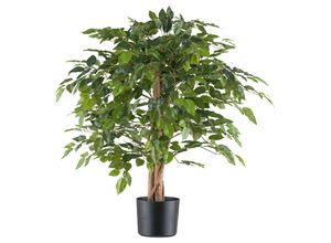4064118250739 - P & B Kunstpflanze Grün Natur Schwarz Naturmaterialien 85 cm inkl Topf mit Naturstamm Dekoration Blumen & Zubehör Kunstpflanzen 4064118250739 - P & B Kunstpflanze Grün Natur Schwarz Naturmaterialien 85 cm inkl Topf mit Naturstamm Dekoration Blumen & Zubehör Kunstpflanzen