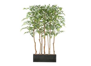 4064118250760 - P & B Kunstpflanze  Braun Grün Schwarz  Kunststoff  160 cm  inkl Topf  Dekoration Blumen & Zubehör Kunstpflanzen