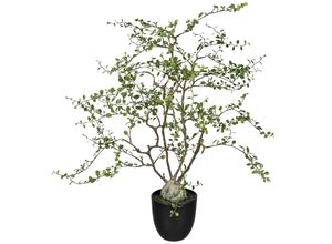 4064118257165 - Kunstpflanze Mühlenbeckia
