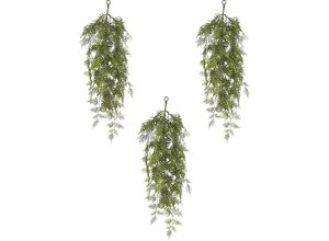4064118274919 - Asparagus setaceus Hänger VE 3 Stk Höhe 900 mm kaiserkraft